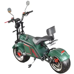 China New Arrival Electric Cabin 3 Wheel Tricycle Mobility Scooter For Sale