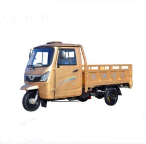Venta al por mayor de triciclo volquete semicerrado de 3 ruedas para carga pesada, 250cc, a gasolina, para uso agrícola y doméstico. - Product Image 1