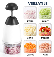 Keukenhandleiding Groentechopper En Uiensnijder Plastic Handpers Knoflook Huidschiller Crusher Voedselsnijder Voor Knoflookui