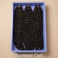 Extensiones de Cabello Humano Rizado Birmano Sin Procesar con Cutícula Alineada, de 14-30 Pulgadas, para Venta al Por Mayor