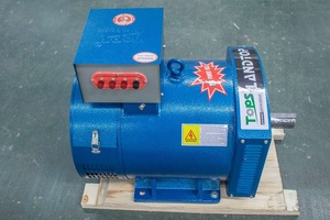LANDTOP STC ST Générateur Dynamo Alternateur 3-50kw Générateur AC 60Hz Fréquence Brosse <span class=keywords><strong>Excitation</strong></span> 400v/230v/12v Nominale - Product Image 3