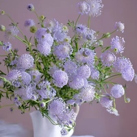 Trachymene violet clair fraîchement coupé à longue tige, origine Yunnan, pour arrangements floraux de mariage, Saint-Valentin, anniversaire, décoration intérieure