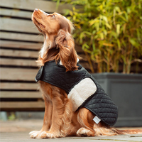Vestes pour chiens modernes et luxueuses en polyester imperméable, personnalisables en gros, pour Dachshund, Boxer - Ajustables pour l'hiver, le printemps, l'été, toutes races