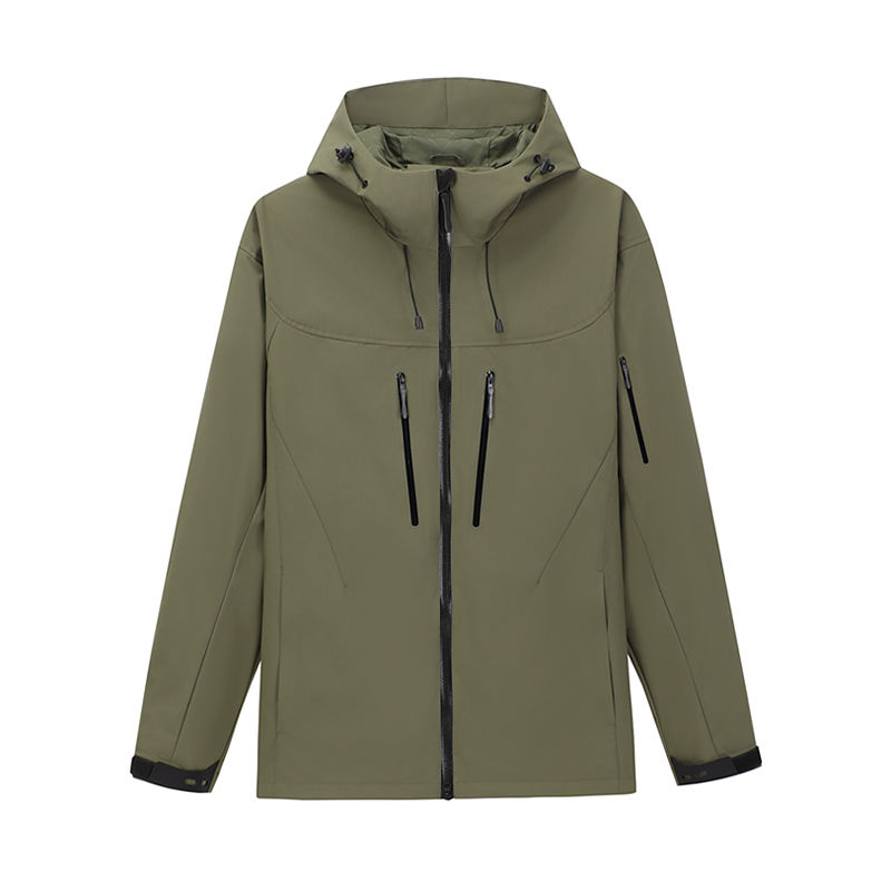 ต้นสนสีเขียวเข้ม