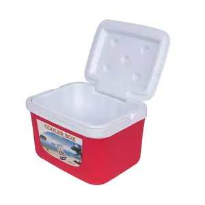 Groothandel Markt Duurzaam Waterdicht 5 Xl 850G Camping Picknick Elektrische Draagbare Mini Plastic Ijs Warmer Bierfles Koeler