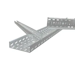 Nema Standard 12b 20b Openable Stainless Steal Cable Ladder Ladder Type Cable Tray