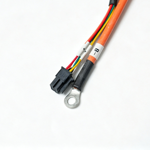 Su geçirmez IP67 M25 Elektrikli Bisiklet Güç Girişi, Şarj/Deşarj ve Sinyal İletimi için PTFE/PVC Kablo Demeti ile - Product Image 2