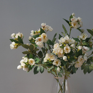 Taobao: Venta al por mayor de fabricantes, set de fotografía <span class=keywords><strong>floral</strong></span> para bodas, flor artificial, rosa de tallo largo con múltiples cabezas - Product Image 1