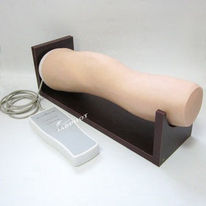Modelo de Entrenamiento de Inyección Intraarticular de Rodilla Electrónica - Product Image 1
