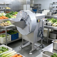 Hoge-efficiëntie, hoge-opbrengst groentesnijder/-versnipperaar voor wortelen, gember, knoflook, taro, bamboescheuten - commercieel gebruik, 1,5 kW motor