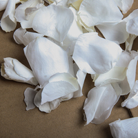 pétales de rose en vrac pour toujours éternel préservé pétales de fleur de rose naturelle préservée pétales de rose blanche f