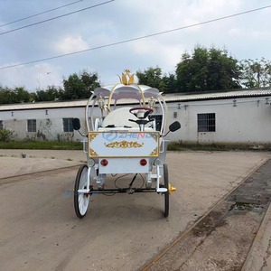 Chariot de princesse électrique classique Zhenda en forme de citrouille, couleur de siège personnalisable, pour mariage, fête, visite de parc, option traîné par des chevaux - Product Image 3