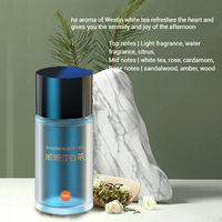 10ml voiture arôme diffuseur huile essentielle voiture désodorisant recharge luxe parfumé parfum huile diffuseur pour voiture