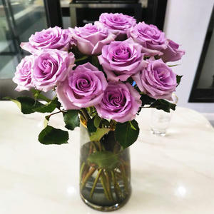 Vente en gros directe Lot de roses fraîches coupées du Yunnan Base de fleurs pour mariage pour achat en groupe chez Stall - Product Image 5
