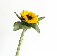 Natuurlijke verse boeket zonnebloemen, snijbloemen, prijzen, beste kwaliteit, decoratieve bloemen, lang houdbaar