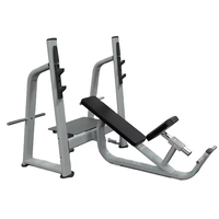 RUNTEK Équipement de fitness professionnel pour la musculation, Appareil de musculation des bras et de la poitrine, Rameur, Barre en T inclinable