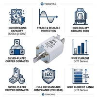 Fusible à lame NT00C, fusible HRC, 63A, 500V AC, capacité de coupure 120kA, certifié IEC 60269, corps en céramique, puissance industrielle