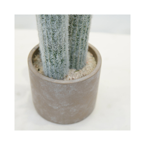 Mini Real Touch <span class=keywords><strong>piante</strong></span> <span class=keywords><strong>grasse</strong></span> verdi in vaso <span class=keywords><strong>con</strong></span> fiore per la decorazione della scrivania pianta di <span class=keywords><strong>Cactus</strong></span> artificiale - Product Image 5