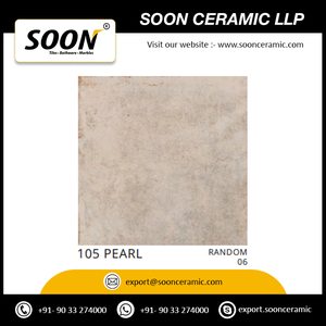 กระเบื้องพอร์ซเลนบิอันโกคุณภาพส่งออกของอินเดีย ขนาด 600x600 มม. สำหรับตกแต่งห้องนอนและห้องนั่งเล่น นำเข้าจากอินเดีย - Product Image 4