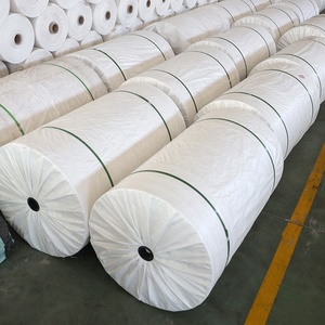 PP dệt vải Polypropylen 1000D 50-200gsm để làm túi, bạt, dệt địa lý, đồ gỗ ngoài trời và bạt - Product Image 3