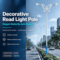 Poteau d'éclairage public à double bras en forme de papillon, poteau de lampadaire décoratif galvanisé à chaud pour projet municipal