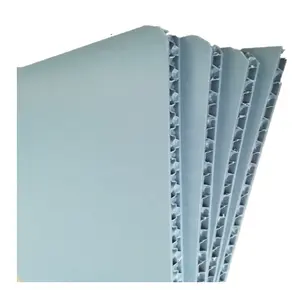 Polypropylene Aluminum Honeycomb Interior Wall Panel