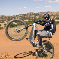 Vélo de montagne électrique à suspension intégrale en fibre de carbone Amflow PL Carbon (800wh) EMTB, vélo de montagne professionnel pour la descente
