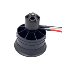 Moteur de ventilateur BLDC sans balais haute vitesse 50000 tr/min 20V CC 500W, débit d'air élevé, faible bruit pour le refroidissement, la ventilation et les applications industrielles
