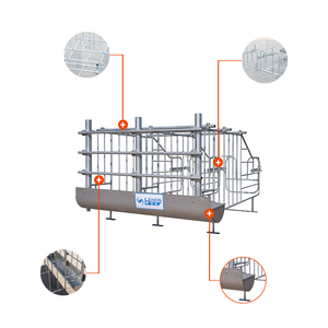 Nouvelle cage de gestation confortable HengYin HY-AFS galvanisée à chaud avec porte arrière pour truies, élevage de porcs, longue durée de vie - Product Image 6