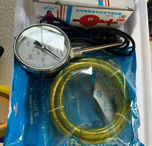 เครื่องอบอาฟกานีโรตินานใช้ในเชิงพาณิชย์เครื่องอบพิซซ่า - Product Image 6