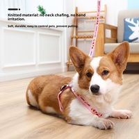 Venta Directa de Fábrica: Correa Extensible de Lujo para Mascotas, Conjunto de Arnés para Perros, Color Personalizado para Perros y Gatos, Cadena para Perros, Suministros para Mascotas