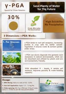 En iyi fiyat gama poliglutamik asit (PGA) -bitki büyüme uyarıcısı ve gübre katkısı - Product Image 5