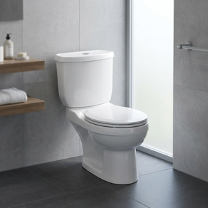 Aqua <b>Pan</b> Two Piece WC Porcelain Water Closet Dual Flush Concealed <b>Cistern</b> Washdown Floor Mounted <b>Toilet</b> - Product Image 1