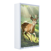 Rongfengyuan - Vitrina de Exhibición 3D con Pantalla LCD/OLED Transparente de 32 Pulgadas, con Certificación CE RoHS, para Uso en Supermercados/Aeropuertos, Fabricante