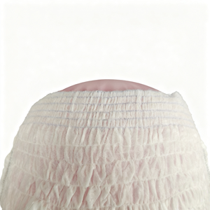 Couches pour adultes post-opératoires pour femmes, pH équilibré, hypoallergéniques, douces, absorbantes, anti-fuites, design sans couture, soutien - Product Image 1