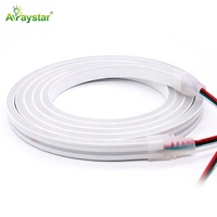 Bande LED étanche RVB IC 6*12mm Silicone Neon Flex Strip IP67 24V WS2811 Pixel Décoration Bande LED intelligente Télécommande