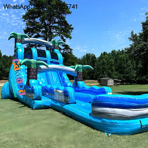 Glissière d'eau tropicale de videur sautant de palmier d'arrière-cour commerciale - Product Image 2