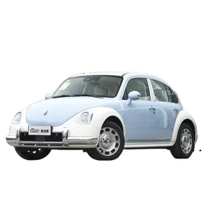 2023/2024 Great Wall Electric Car Ora Ballet Cat Cheap 5-door 5-seat Hatchback Made In China New Energy Vehicle