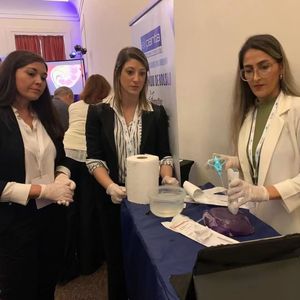 Ecógrafo Portátil Inalámbrico DMU41 Veterinario de Alta Calidad y Asequible, el Mejor para Tratamiento Humano y Estético - Product Image 2