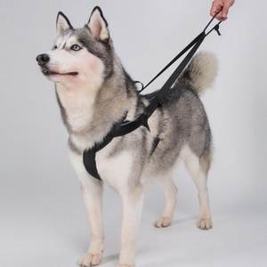 Harnais de traction pour chien, laisse de course en extérieur, corde de sécurité pour voiture, pour grands chiens Husky <span class=keywords><strong>Alaskan</strong></span> Malamute - Product Image 4