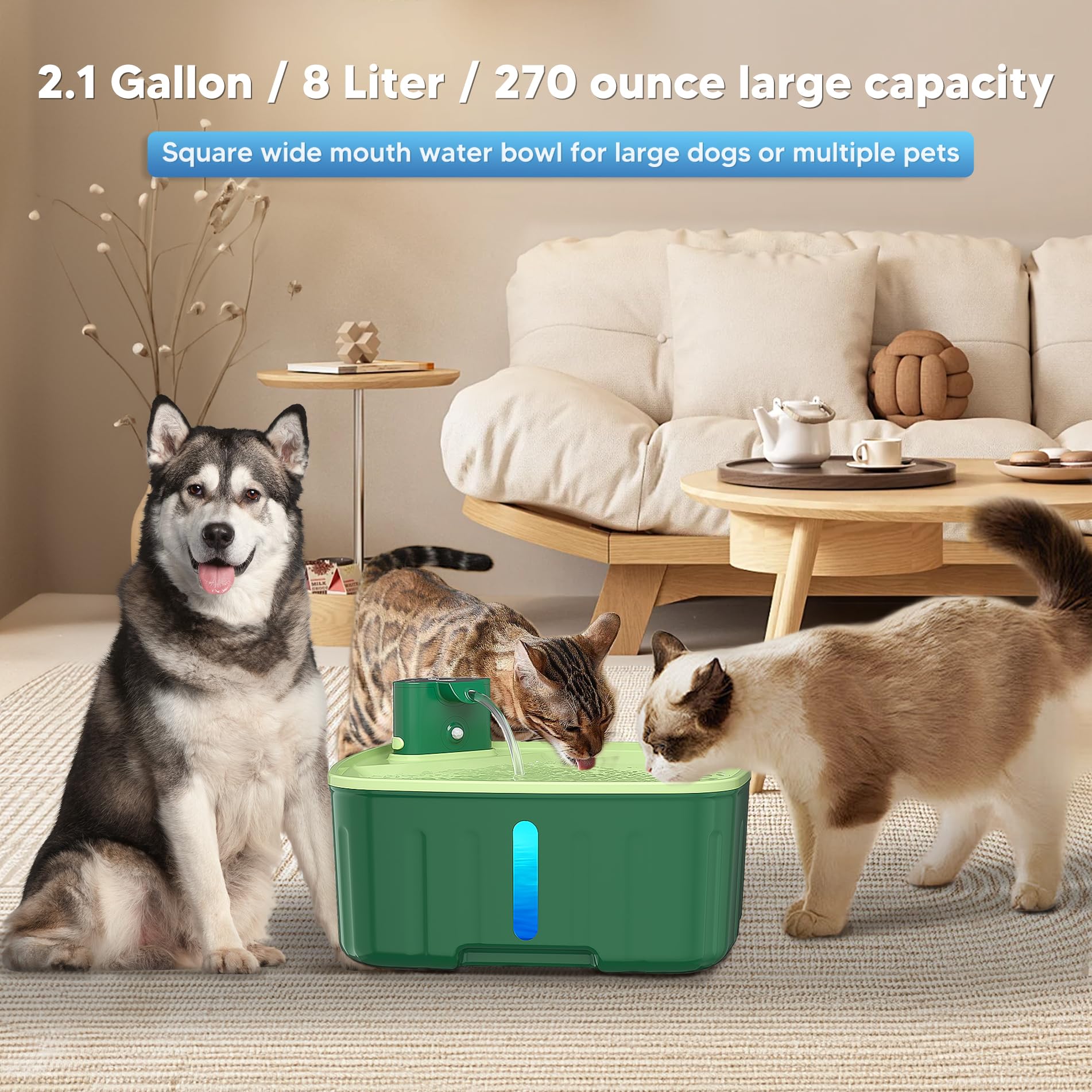 best cat food brands orijen Orijen Cat & Kitten Dry Cat Food