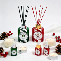 Nouveau Design Diffuseur d'Arômes à Bâtonnets en Fibre, Parfum d'Ambiance sans Alcool aux Huiles Essentielles pour Mariage, Maison, Fêtes, Idéal pour Coffret Cadeau