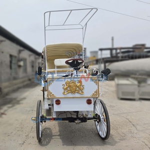 Electric Sightseeing Carriage White Simple Classic Wedding Decoration Multi-occasion Sightseeing Carriage Sells Well - Product Image 3