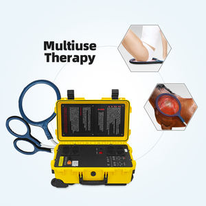 Equine Pemf Physio Magnéto Machine Humain et Chevaux Champ électromagnétique pulsé Pemf Dispositif de thérapie magnétique pour le soulagement de la douleur - Product Image 6