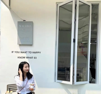 Fenêtre accordéon en aluminium à double vitrage sur mesure pour balcon, fenêtres pliantes anti-ouragan