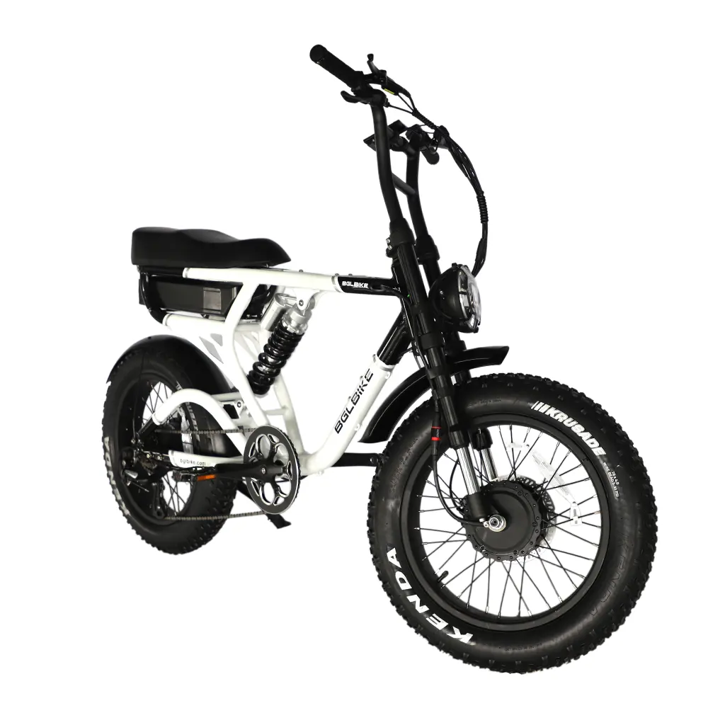 Ingrosso magazzino ue 48v 52V 1000w EBike Fat Bike supporto per bicicletta elettrica personalizzabile a sospensione completa pneumatico elettrico