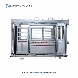 Bán trực tiếp từ nhà máy, máng ép gia súc mạ kẽm mới kèm cân gia súc - Product Image 4