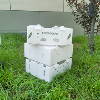 Boîte d'emballage ondulée en plastique d'approvisionnement d'usine de haute qualité 4KG 5KG 7KG chargeant la boîte de gombo
