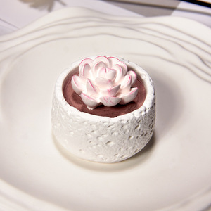 कारखाने प्रत्यक्ष फ्लैमेलेस एरोमाथेरेपी रसीले पोटेड प्लांट सजावटी रचनात्मक रेड डिफ्यूज़र घर के रहने वाले कमरे के लिए सोया मोम सेट - Product Image 3