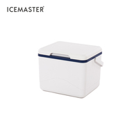 IceMaster 5L 미니 휴대용 시원한 온도 보냉 보온 소형 휴대용 플라스틱 비치 음료 쿨러